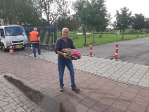 Boomspiegels aan de Leonard Springerlaan