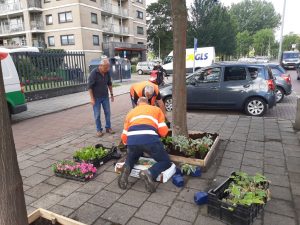 Boomspiegels aan de Leonard Springerlaan