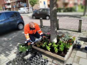 Boomspiegels aan de Leonard Springerlaan