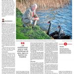 Bernard Felix Haarlems Dagblad digikrant