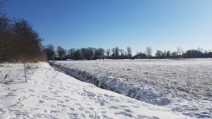 Winterpracht 2021 (4)